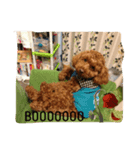 愛犬リリー（個別スタンプ：2）