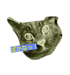Everyday FUGA（個別スタンプ：2）