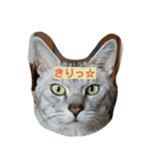 Everyday FUGA（個別スタンプ：8）