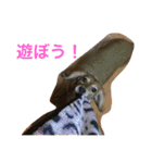 リク スタンプ（個別スタンプ：12）