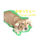 リク スタンプ（個別スタンプ：14）
