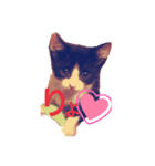 toootan（個別スタンプ：1）
