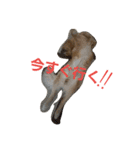 れおんです。（個別スタンプ：2）