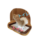 しんべえ 2（個別スタンプ：2）