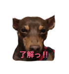 ウィルとリアンとクレールと✨（個別スタンプ：6）
