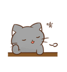 magic cats-expression ver.（個別スタンプ：10）