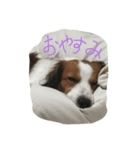 コイケルのエルモくん（個別スタンプ：3）