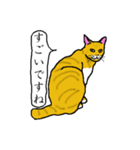 茶トラ集合（個別スタンプ：2）