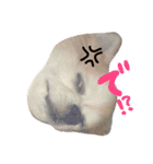 てんちゃんのにちじょう（個別スタンプ：12）