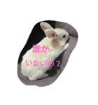 ひるもかももめい（個別スタンプ：3）