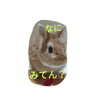 ひるもかももめい（個別スタンプ：7）