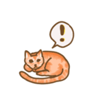 茶トラのぽぽたん（個別スタンプ：23）