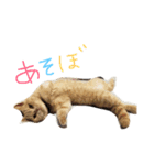 くぅちゃんの毎日（個別スタンプ：8）