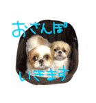 momo nana（個別スタンプ：4）