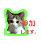 ポコさん（個別スタンプ：6）