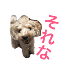 さくらレイアリスアルスタンプ（個別スタンプ：8）