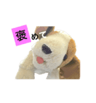 ばにお。（個別スタンプ：12）