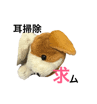 ばにお。（個別スタンプ：15）