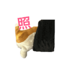 ばにお。（個別スタンプ：16）