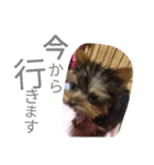 yuzumaruchan（個別スタンプ：4）