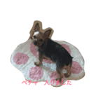 yuzumaruchan（個別スタンプ：5）