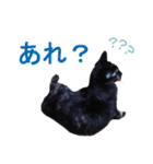 ぶちゃいく柄の猫ちゃん（個別スタンプ：32）