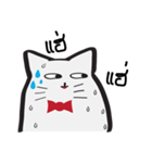 White cat red ribbon.（個別スタンプ：35）