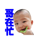 The Wan's daily life（個別スタンプ：5）