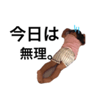 myBaby angel（個別スタンプ：15）