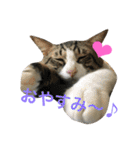 みー様ちー様＆しえるくんの日常（個別スタンプ：4）