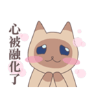 Cats Love you（個別スタンプ：14）