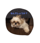 むぎ ちゃん（個別スタンプ：7）