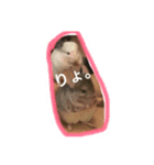ぷーぼー（個別スタンプ：1）