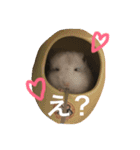 ぷーぼー（個別スタンプ：7）