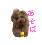 つぶちゃん（個別スタンプ：9）