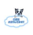 福乃輔と縁乃助（個別スタンプ：1）