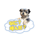 福乃輔と縁乃助（個別スタンプ：7）