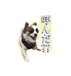 福乃輔と縁乃助（個別スタンプ：15）