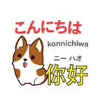 犬の毎日 日本語台湾語（個別スタンプ：2）