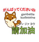 犬の毎日 日本語台湾語（個別スタンプ：5）