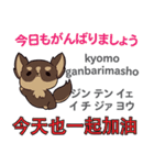 犬の毎日 日本語台湾語（個別スタンプ：6）