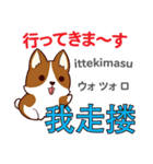 犬の毎日 日本語台湾語（個別スタンプ：7）