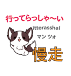 犬の毎日 日本語台湾語（個別スタンプ：8）