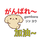 犬の毎日 日本語台湾語（個別スタンプ：9）