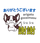 犬の毎日 日本語台湾語（個別スタンプ：13）