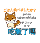 犬の毎日 日本語台湾語（個別スタンプ：15）