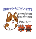 犬の毎日 日本語台湾語（個別スタンプ：17）