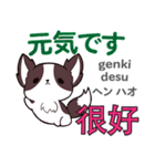 犬の毎日 日本語台湾語（個別スタンプ：18）