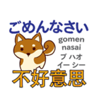 犬の毎日 日本語台湾語（個別スタンプ：20）