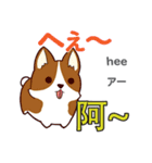 犬の毎日 日本語台湾語（個別スタンプ：22）